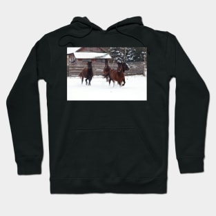 Four horses galloping on winter paddock Hoodie